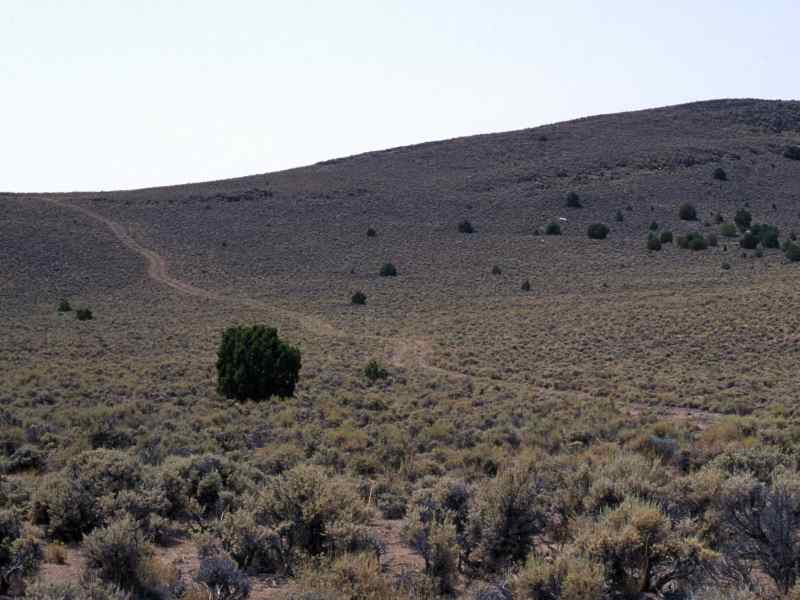 ttr3.jpg (40273 bytes)
