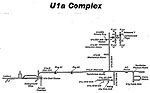 u1acomt.jpg (4281 bytes)